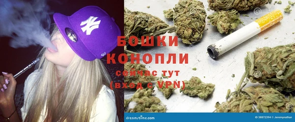 стафф Богородицк
