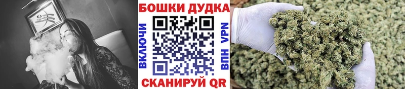 Шишки марихуана план  Купить закладки  Гурьевск 